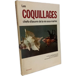 Les coquillages chefs-d'œuvre de la vie sous-marine