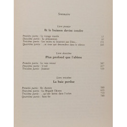 Et le buisson devint cendre