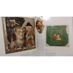 Pompei Picta Fragmenta