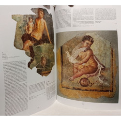 Pompei Picta Fragmenta