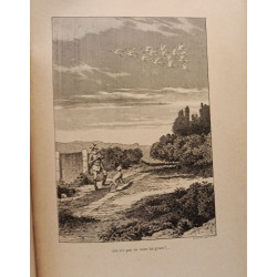 Les Steppes et Les Halliers
