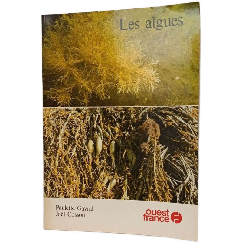 Les algues