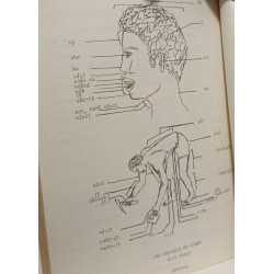 50 leçons lessons en in Sara-Ngambay - VOLUME 1 2 3 - edition...
