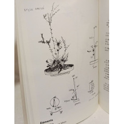 Ikebana Ohara : Art floral japonais styles de bases moribana et heika