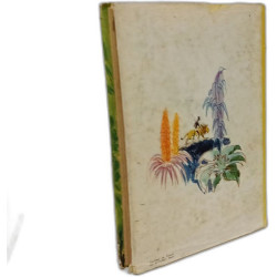 Fonabio et le lion : . Illustrations de J.-P. Ariel