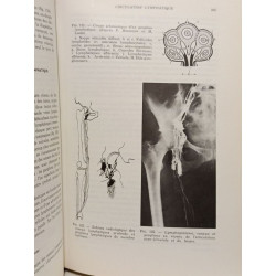 Manuel de physiologie : à l'usage des kinésithérapeutes et des...