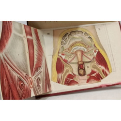 Mon Docteur : Traité de médecine et d'hygiène - TOME II et III