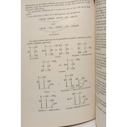 Cours de botanique générale. Organisation générale et reproduction...