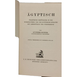 Ägyptisch. Praktische Einführung in die Hieroglyphen und die...