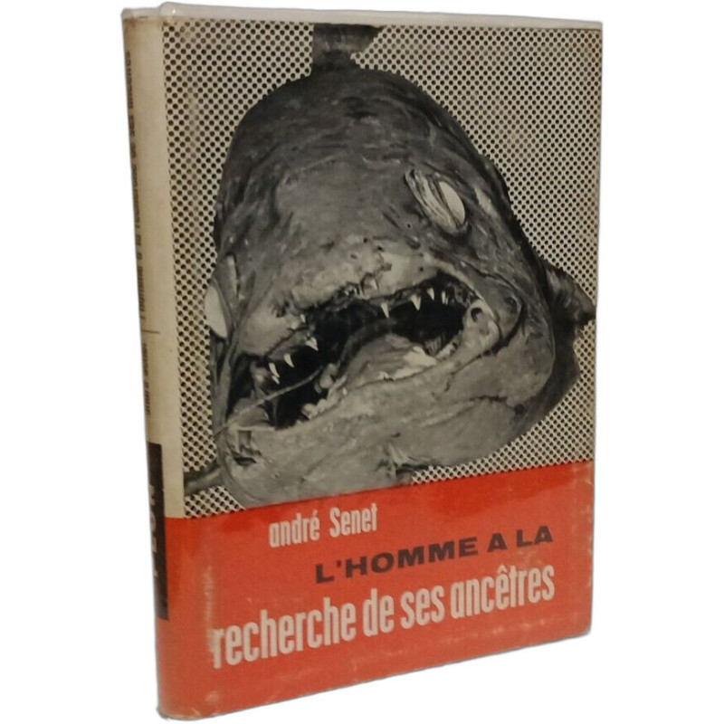 L'homme à la recherche de ses ancêtres