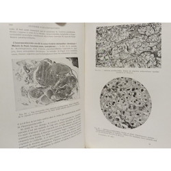Endocrinologie clinique thérapeutique et expérimentale