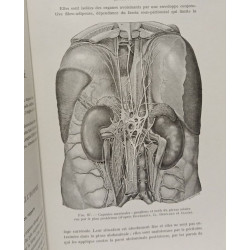 Endocrinologie clinique thérapeutique et expérimentale