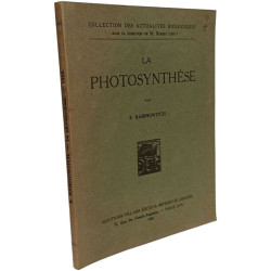 La Photosynthèse