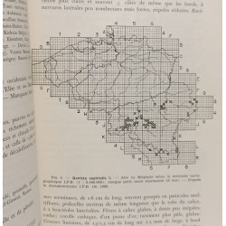 Flore générale de Belgique. Spermatophytes. Volume IV - Fascicule...