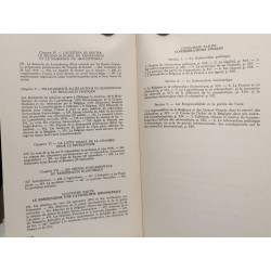 1919. L'Étrange Referendum du 28 Septembre