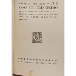 Che cosa fu l'umanesimo, il risorgimento dell'antichita classica...