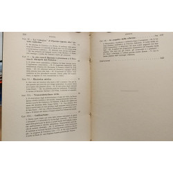 Che cosa fu l'umanesimo, il risorgimento dell'antichita classica...