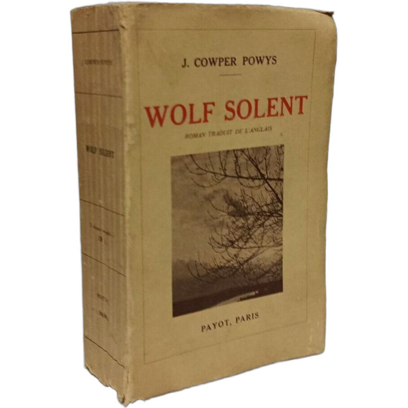 Wolf Solent