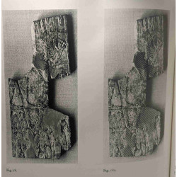 Ivories from Ziwiye and items of ceramic and gold / Monographien...