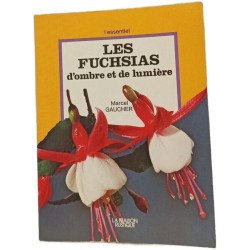 Les Fuchsias d'ombre et de lumière