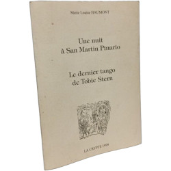 Une nuit à San Martin Pinaro - Le dernier tango de Tobie Stern