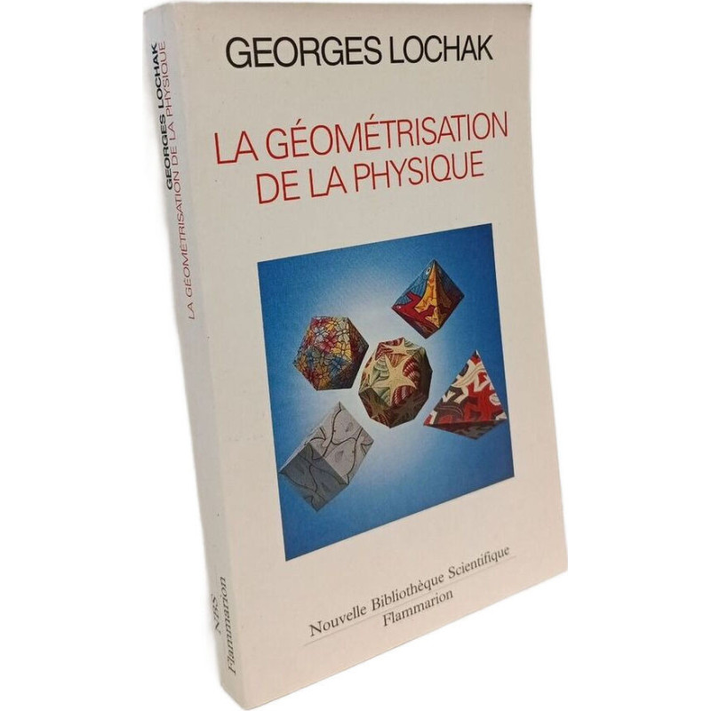 La Géométrisation de la Physique