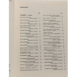 Oiseaux de l'Amérique du Sud - TOME 2