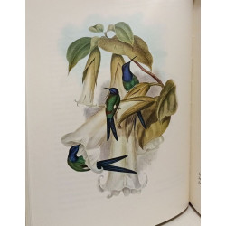 Oiseaux de l'Amérique du Sud - TOME 2