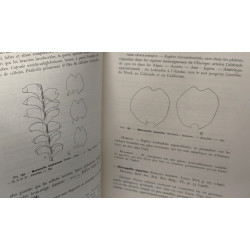 Bryophytes - VOLUME 1 fascicules 1 à 3 + VOLUME 2 fascicule I -...